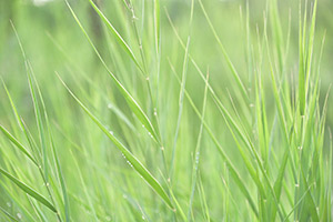 img/photography/niroomand_photography_5