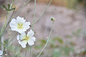 img/photography/niroomand_photography_6
